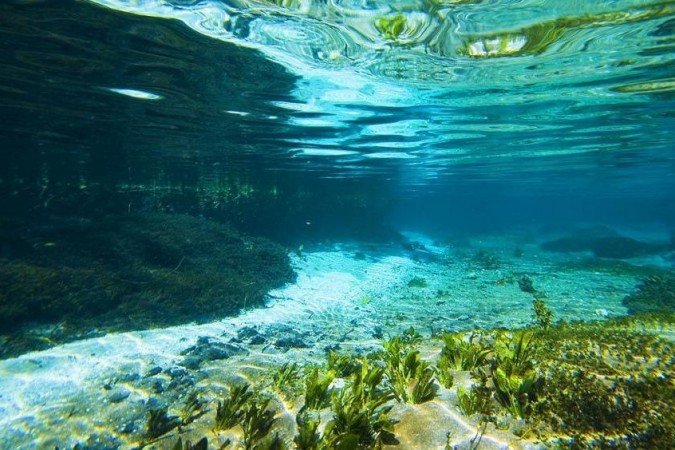  (crédito: Richard Cheles/Flickr. )