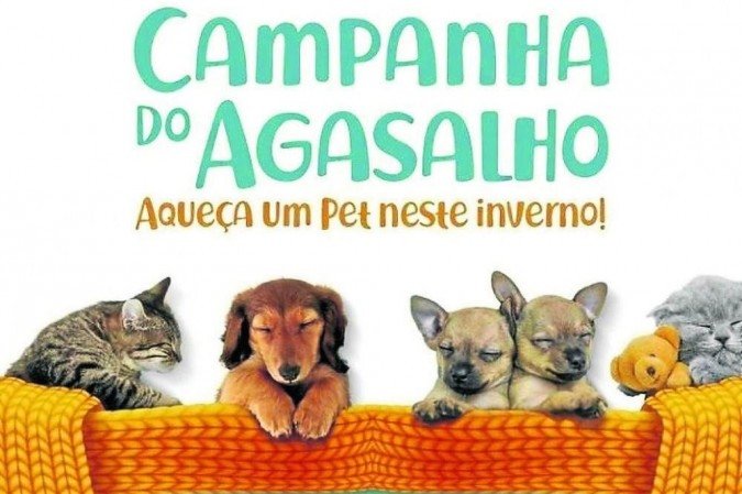 Projeto Acalanto DF/Divulgação