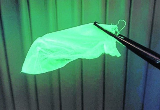 RMIT University/Divulgação