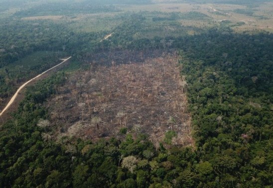 Op VERDE BRASIL/17