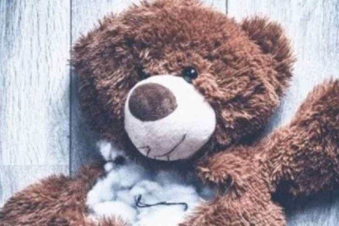  (crédito: (foto: Pixabay/Reprodução))