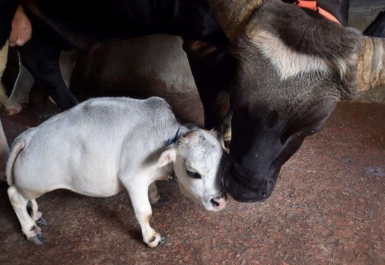 Munir Uz zaman / AFP