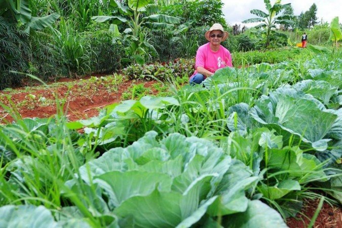 Expectativa da pasta é atender 100 moradoras de Chapadinha, no Lago Oeste - (crédito: Dênio Simões/Agência Brasília) Expectativa da pasta é atender 100 moradoras de Chapadinha, no Lago Oeste - (crédito: Dênio Simões/Agência Brasília)