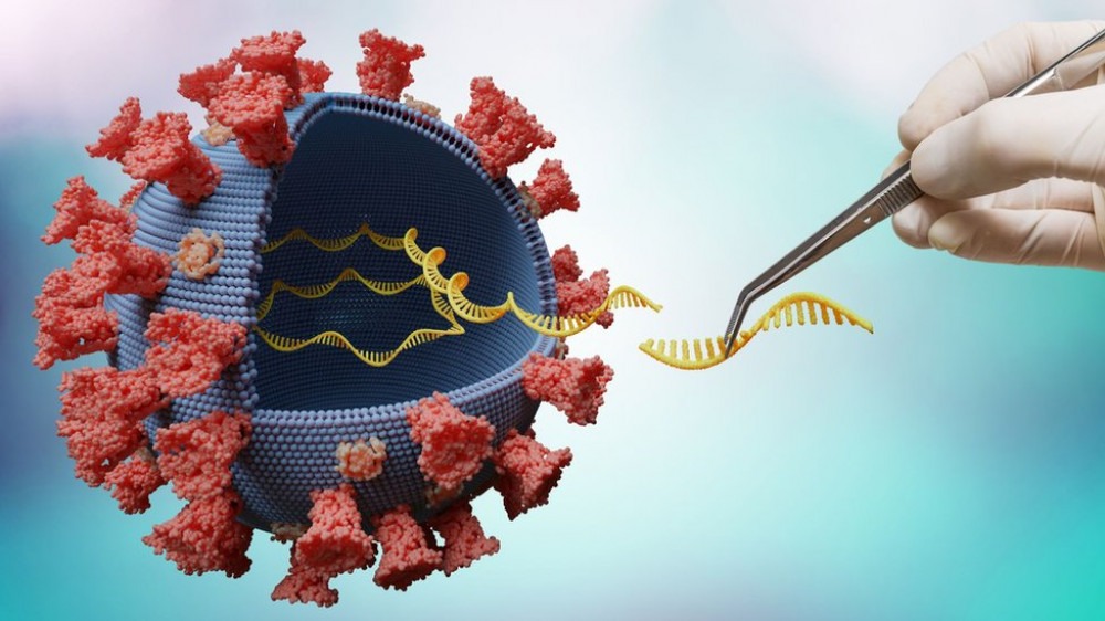 Variante Delta: as 5 mutações que tornam coronavírus mais contagioso e preocupante