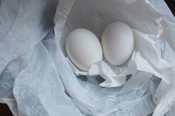 Os ovos, guardados em uma sacola plástica dentro da mochila de Aislan, ficaram intactos depois do acidente -  (crédito: Material cedido ao Correio)