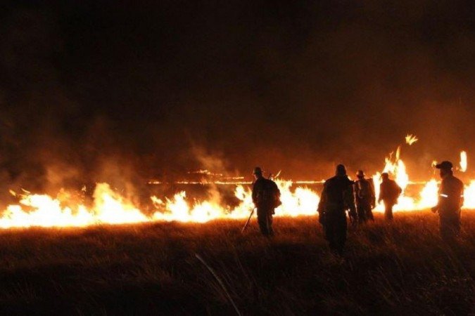  (crédito: Ramilla Rodrigues/ICMBio)