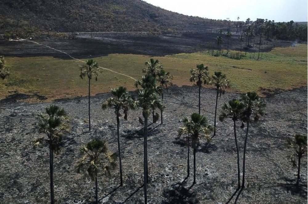 24/10/2017. Brasil. Incendio de grandes proporcoes no Jardim Maytrea no Parque Nacional Chapada dos Veadeiros.