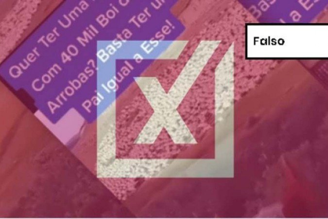  (crédito: Reprodução/Comprova)