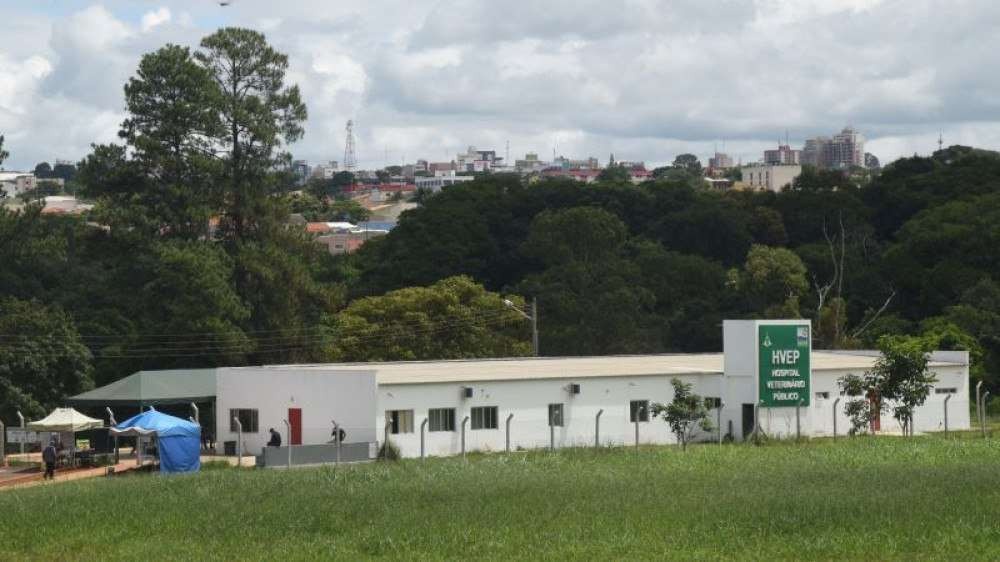 Agendamento on-line no Hospital Veterinário do DF começa na segunda (19/7)