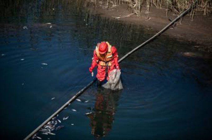 Dispositivo também poderá ser usada para análise de outros produtos químicos, como pesticidas, na água e em alimentos