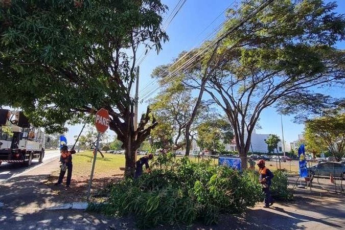 (crédito: Divulgação/GDF Presente) (crédito: Divulgação/GDF Presente)