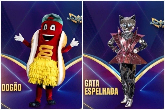 Fantasias de Dogão e Gata espelhada em Masked singer Brasil