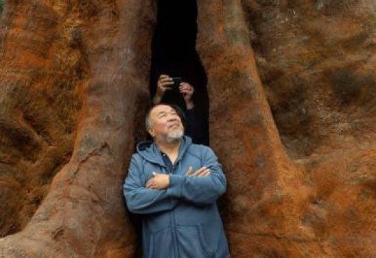 Fotos: Instituto Cervantes/Divulgação; MIGUEL RIOPA