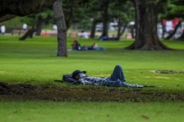 Sonecas de até 30 minutos durante o dia podem ser positivas para melhorar a qualidade do sono noturno -  (crédito: Kazuhiro Nogi)