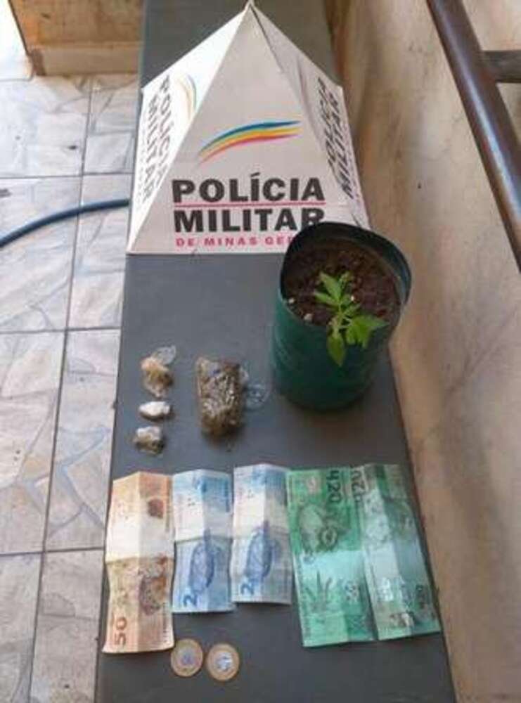 Polícia localizou um pé de maconha, além de uma barra e três tabletes da substância e R$ 56 em cédulas e moedas