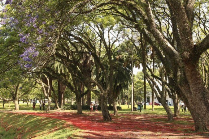  (crédito: Rovena Rosa/Agência Brasil)