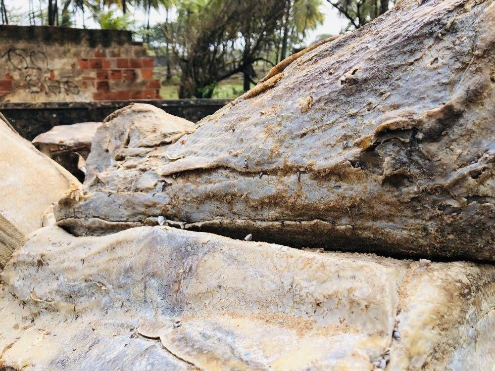 Dez caixas misteriosas aparecem em praia de Salvador. Material encontrado pela empresa de limpeza urbana da capital da Bahia faz parte de uma série de objetos que surgem na costa do Nordeste desde 2018.