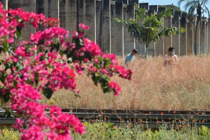  (crédito: Ed Alves/CB/D.A Press)