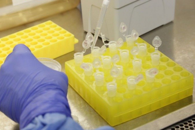  (crédito: Divulgação/Josué Damacena (IOC/Fiocruz))