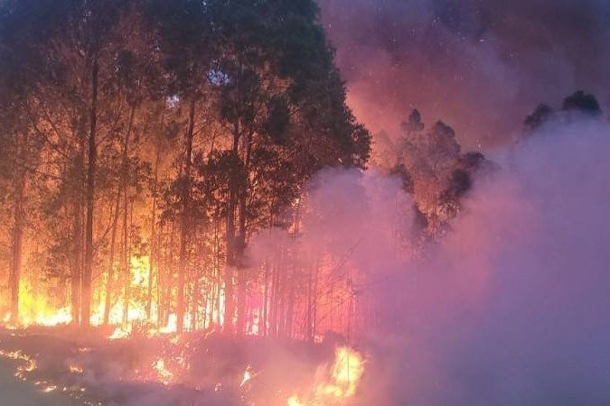 Perícia do CBM-DF foi acionada para apurar as causas do incêndio - (crédito: CBM-DF/Divulgação) Perícia do CBM-DF foi acionada para apurar as causas do incêndio - (crédito: CBM-DF/Divulgação)