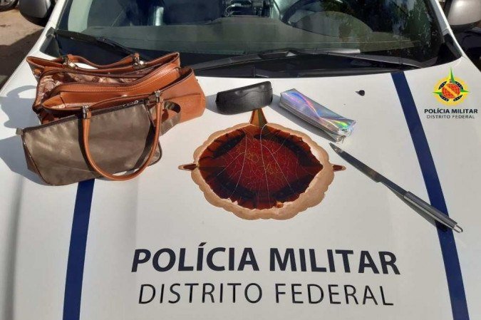 (crédito: Reprodução/PMDF) (crédito: Reprodução/PMDF)