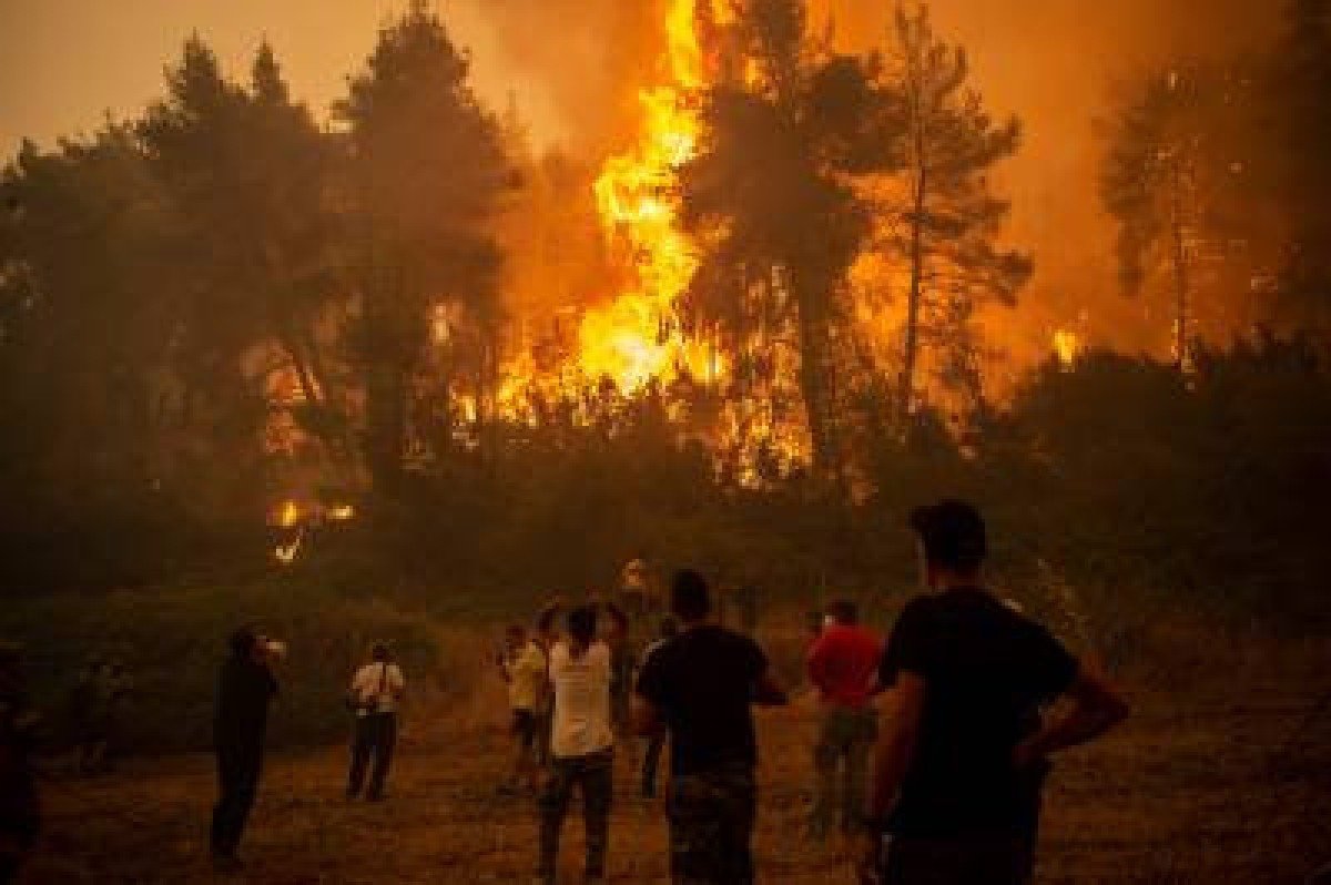 Consequências do aquecimento global já são ameaça à sobrevivência