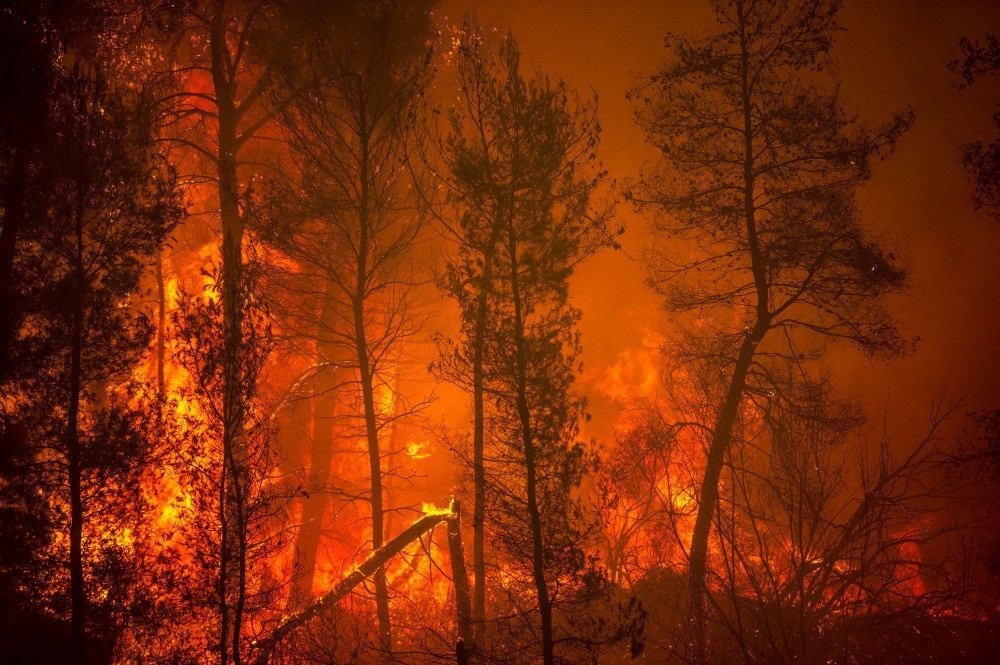 Bombeiros travam batalha contra incêndio devastador na ilha grega de Eubeia