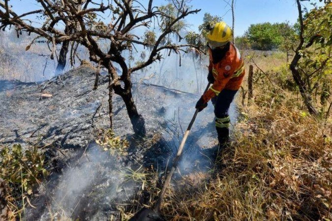 O fogo começou por volta de 10h20 e os bombeiros conseguiram contê-lo às 11h15 - (crédito: Ed Alves/CB/D.A. Press) O fogo começou por volta de 10h20 e os bombeiros conseguiram contê-lo às 11h15 - (crédito: Ed Alves/CB/D.A. Press)