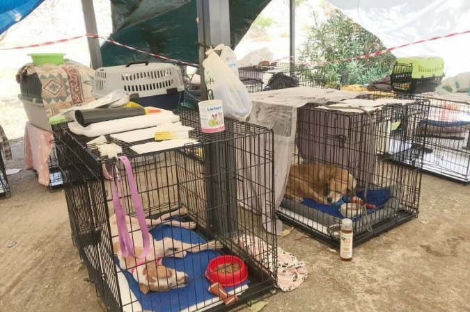  (crédito: STRINGER / AFP)