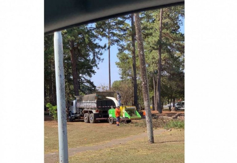 Agentes da Novacap começam a derrubar árvores para obra do viaduto da Epig