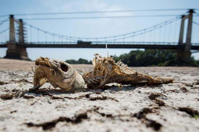  (crédito: LOIC VENANCE/AFP)