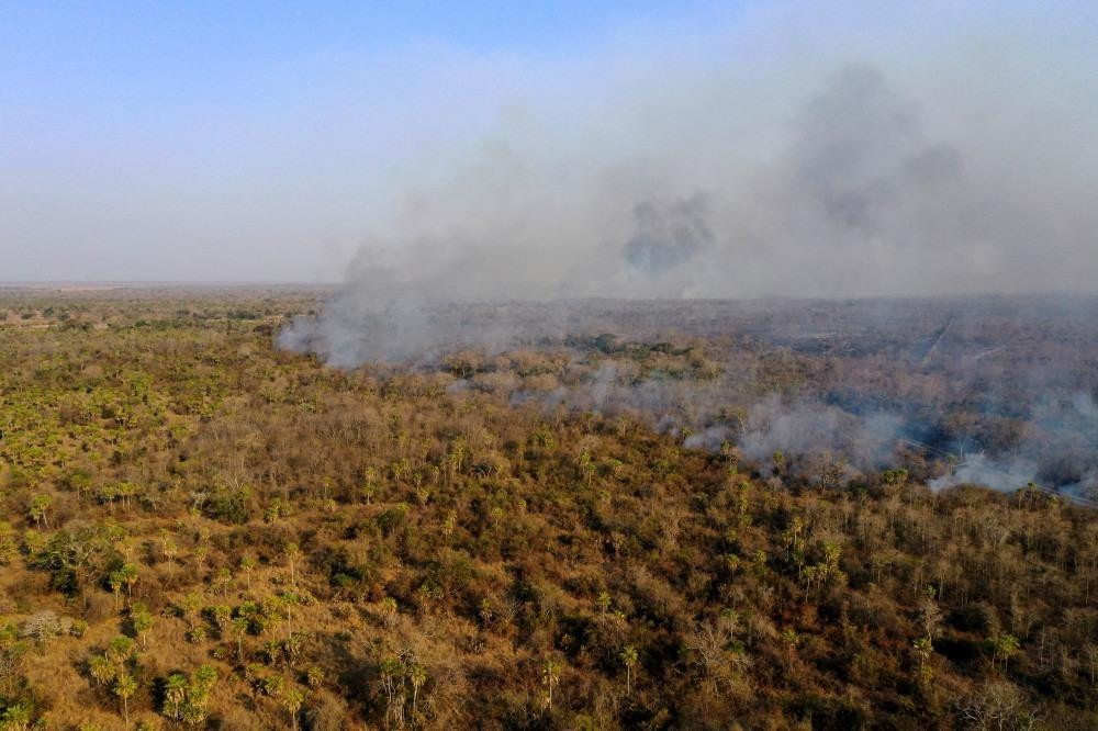 Incêndios devastam reservas ecológicas na Bolívia