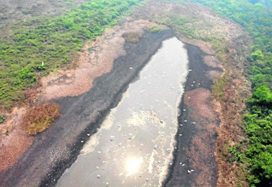 Chico Ribeiro/Comissao Temporaria do Senado - 3/10/20