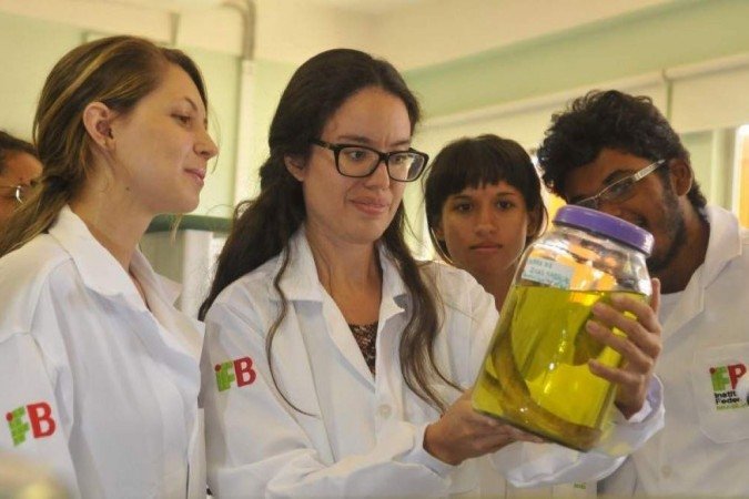  (crédito: Minervino Junior/CB/D.A Press)