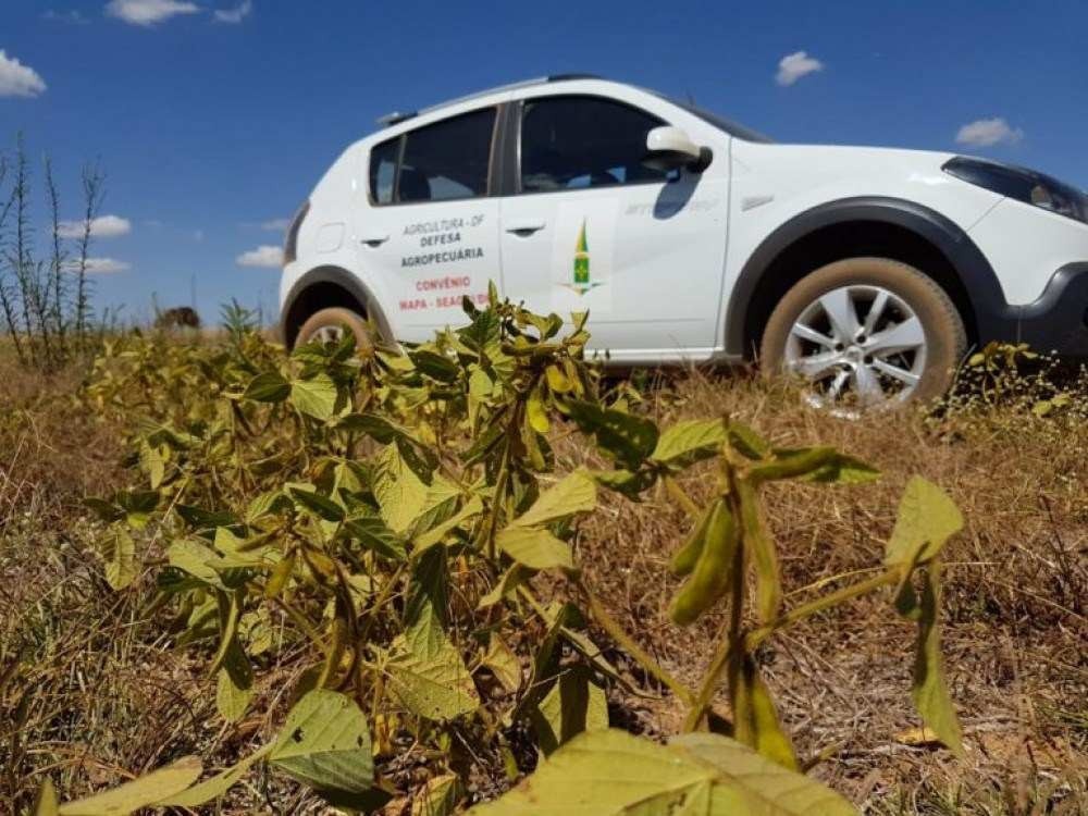 GDF publica nova legislação para defesa sanitária vegetal