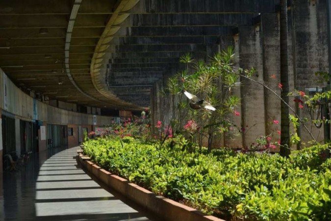  (crédito: Ed Alves/CB/D.A Press)