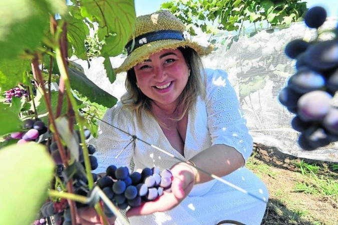 Rachel Bardawil produz vinhos naturais, sem químicos para corrigir acidez e taninos    -  (crédito: Ed Alves/CB/D.A Press)