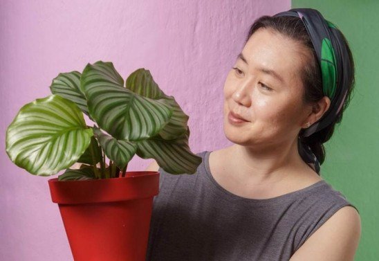 Arquivo pessoal/ Divulgação