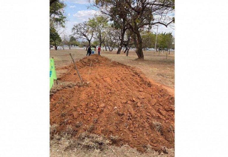 Moradores do Sudoeste impediram que operários retirassem área verde da Quadra 105 