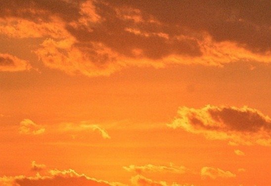 Ed Alves/CB/D.A Press