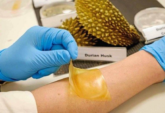 NTU Singapore/Divulgação