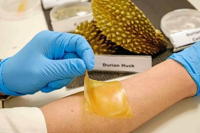  (crédito: NTU Singapore/Divulgação)