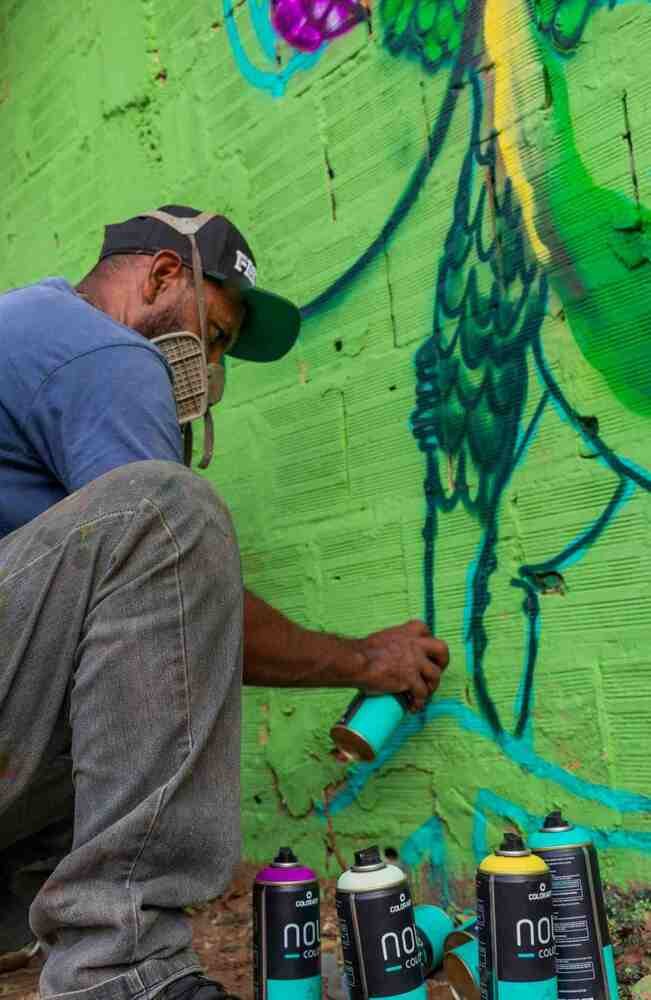 Artistas urbanos transformam as ruas de Brazlândia com graffitis que exaltam a natureza local e a preservação