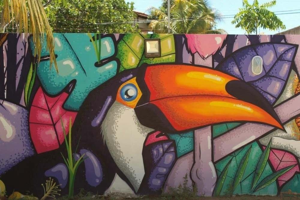 Iniciativa cultural Natureza Urbana em Brazlândia