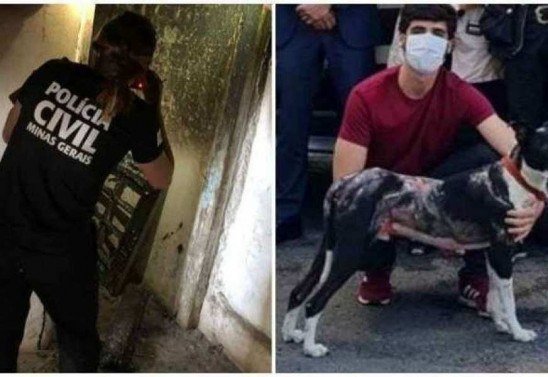 Polícia Civil/Divulgação