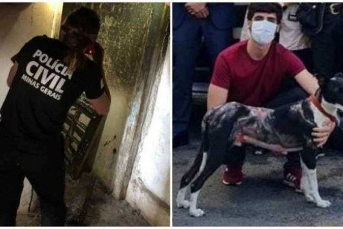  (crédito: Polícia Civil/Divulgação)