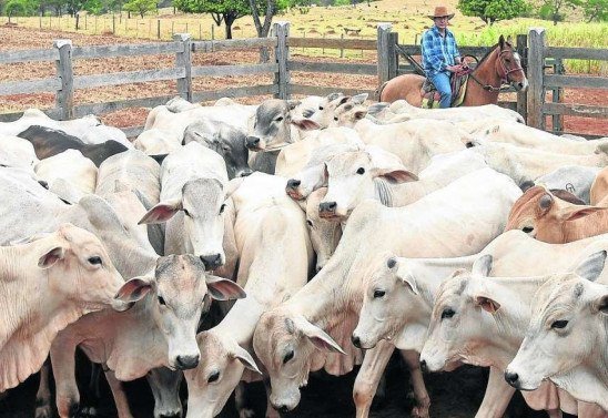 Ed Alves/CB/D.A Press - 1/11/17