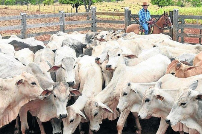 Organização Mundial de Saúde Animal não vê perigo em casos atípicos registrados no país -  (crédito: Ed Alves/CB/D.A Press - 1/11/17)