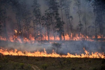 No período entre março e setembro, as altas temperaturas associadas à baixa umidade do ar favorecem a propagação rápida do fogo -  (crédito: Minervino Júnior/CB/D.A Press)