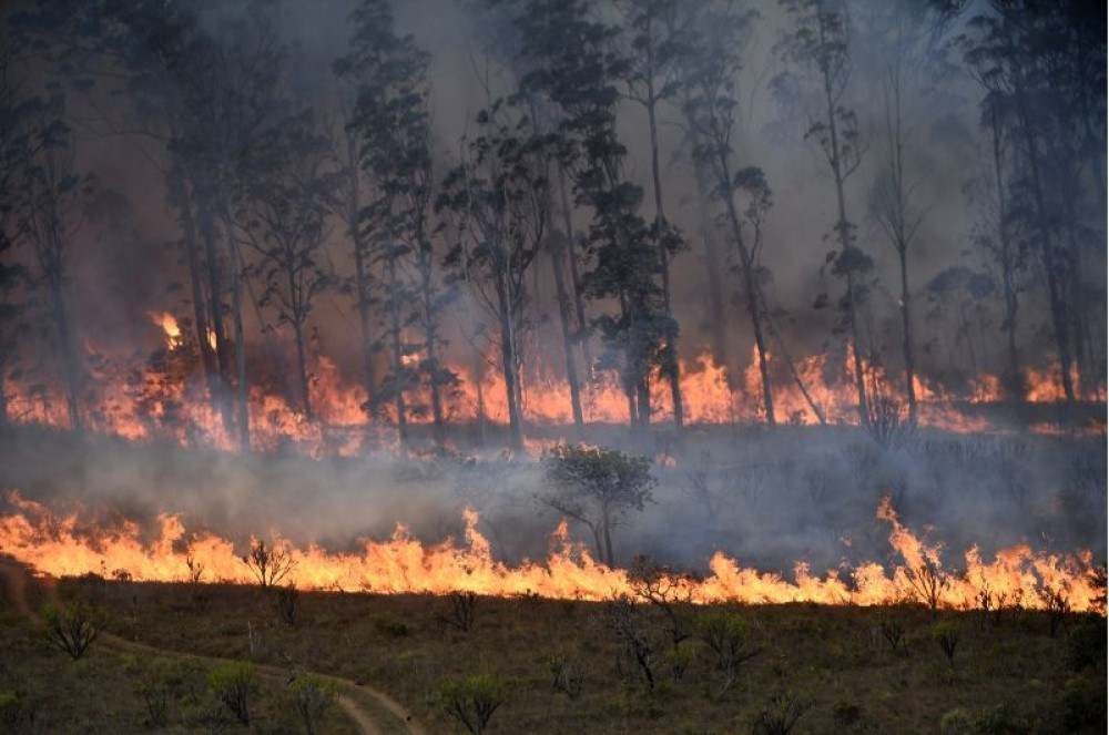 Negligência é principal causa de incêndios florestais no DF, dizem especialistas